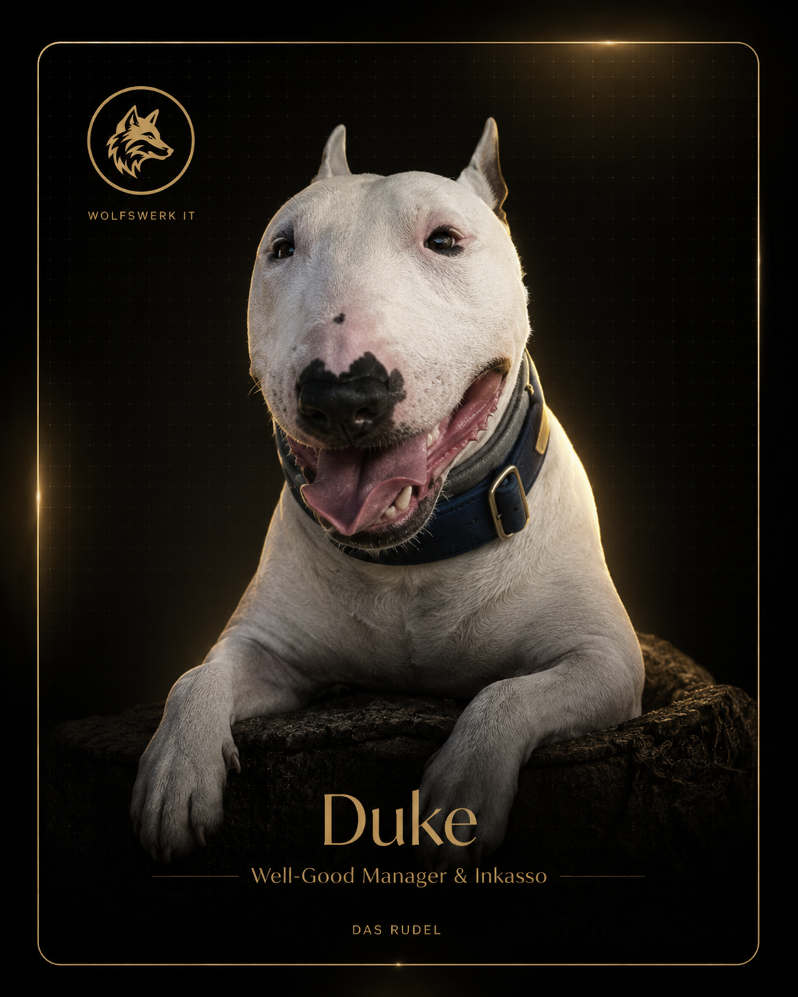 Duke