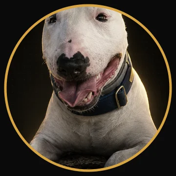Duke, Feel-Good Manager